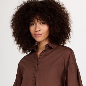 Joslin / Clara Cotton Smock Shirt Dress / Size S4 / Brown / Retail $415